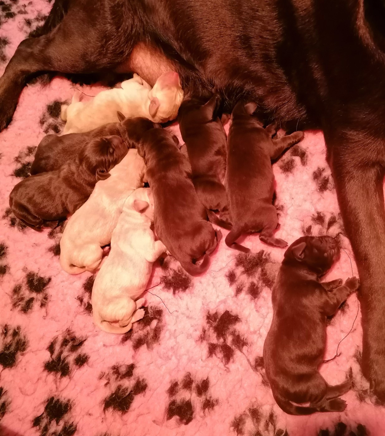 NOS BÉBÉS SONT NÉS