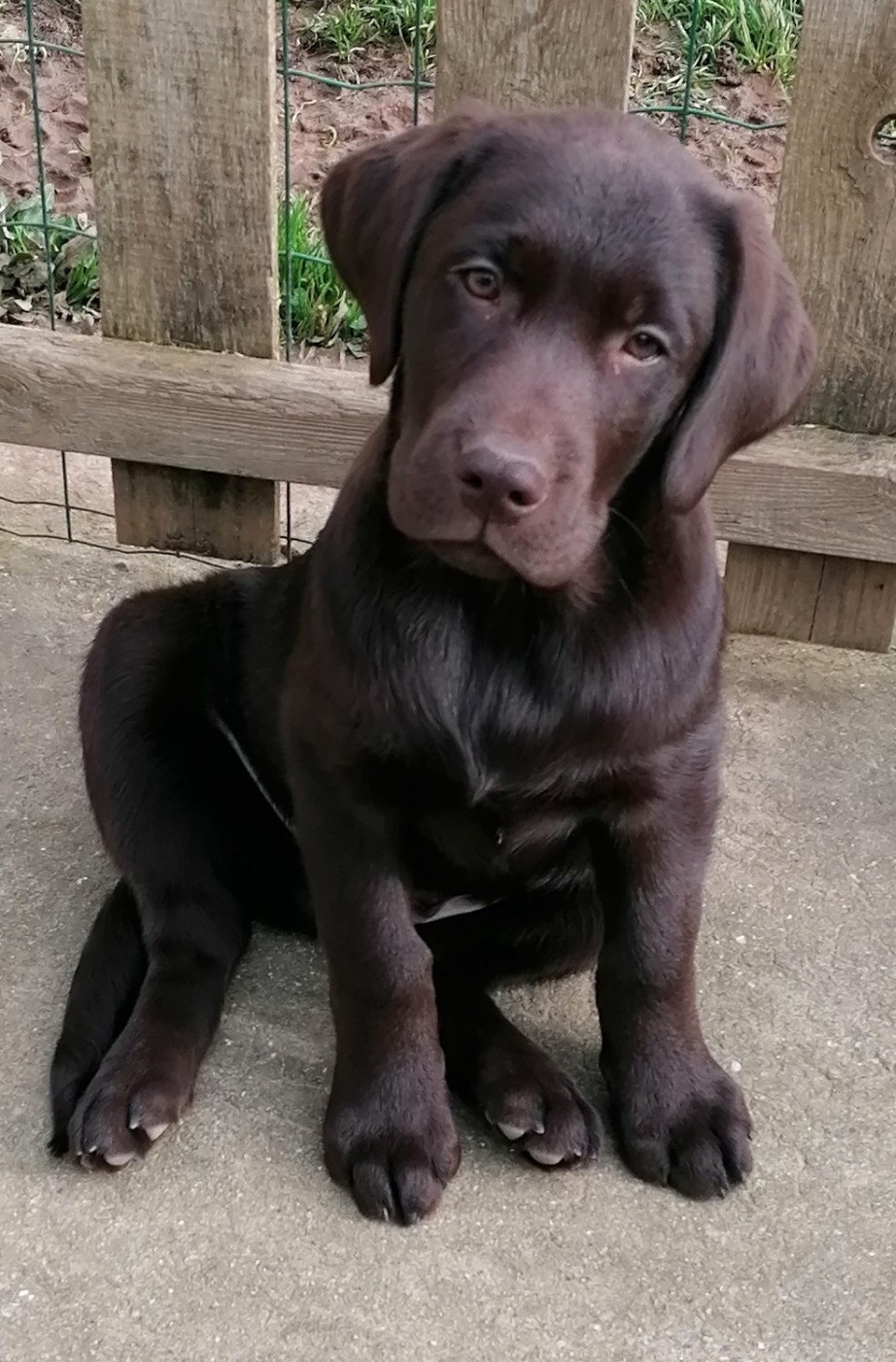 De La Vallée De Brétignolle - ASTON