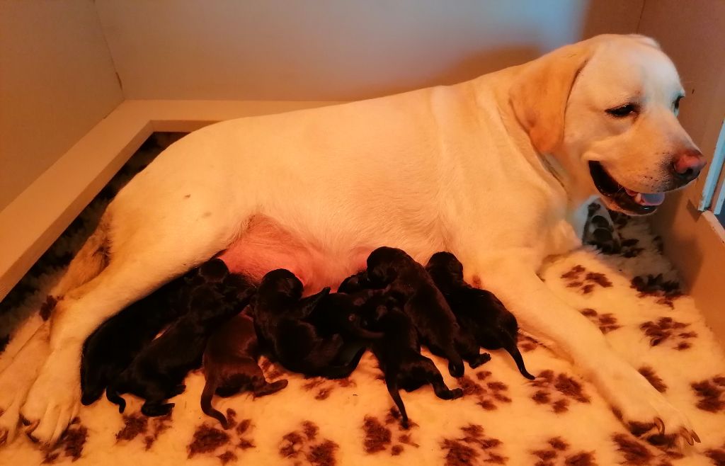 Les bébés sont nés 