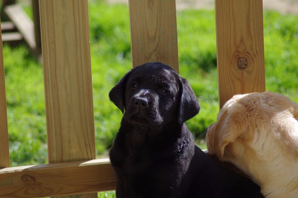 Les bébés profitent d'une belle journée sous le soleil