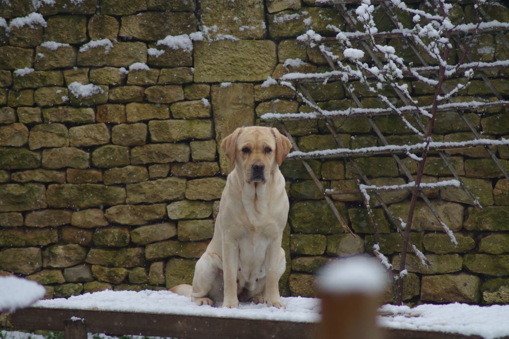 SOUS LA NEIGE